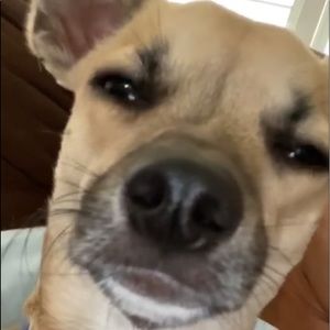 Meet your Posher, Nancy